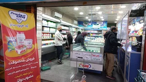 فروشگاه پگاه