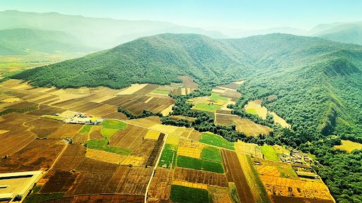 کشتارگاه دلند