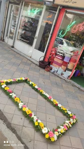 آقای گل