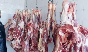 سوپر گوشت پورندی شعبه ۲ 4