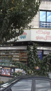 فروشگاه گل مینو 2