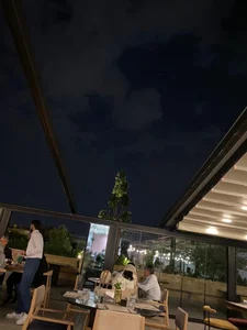 ترمه و طاووس 3