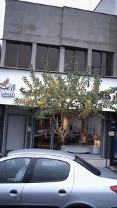 پارچه لارا مد 2