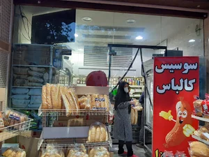 فرآورده‌های گوشتی مائده