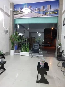 املاک کاخ 2