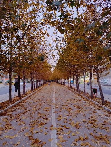 مسیر پیاده روی جویبار