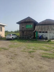 پارک حیات وحش