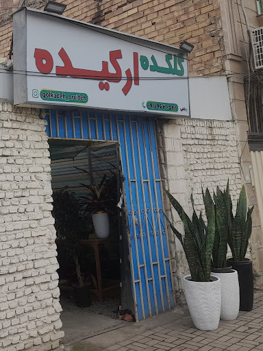 گلکده ارکیده