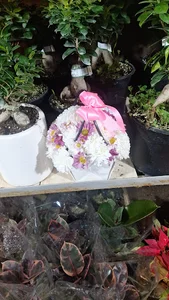 بازارگل گیاه (باغ اناری)