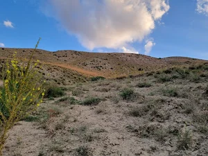 زمین باغستان