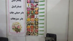 شرکت تعاون روستایی سورمق