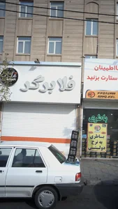 فلابرگر 3