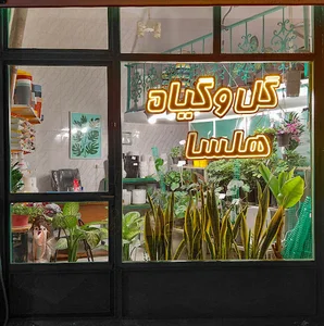 گل و گیاه هلسا
