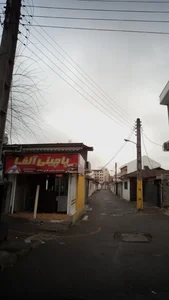 پاچینی آلفا 2
