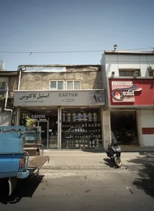 استیل کاکتوس 2