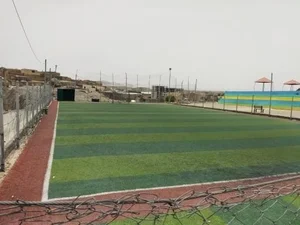 زمین چمن 2
