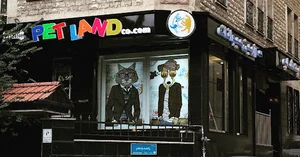 Pet Land Co