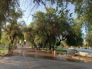 بوستان شیخ انصاری 4
