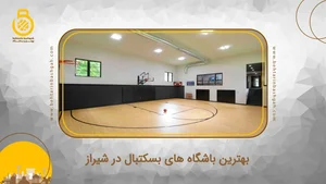 PRO SKILLS BASKTBALL ACADEMY