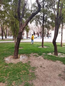 بوستان مینو 3