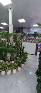 گل فروشی یاس 2