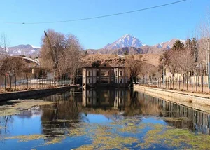 پیتزا و ساندویچ بهرام