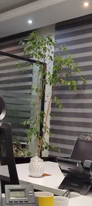 ماهان شبکه ایرانیان