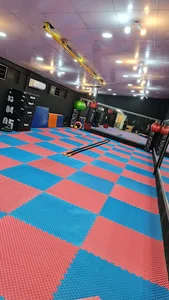 مجموعه ورزشی عدالت