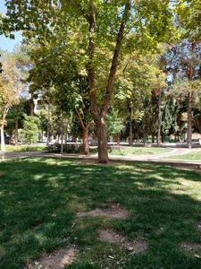 بوستان علوی 5