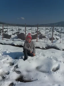 روستای مژده
