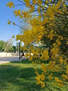 پارک شهرداری 5