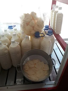 مجتمع رایانه ای الماس