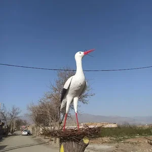سوی هنر