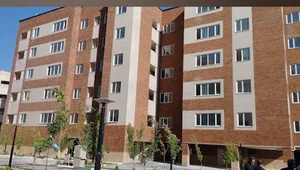 زیتون 46