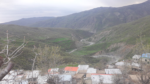 روستای چنار بیشه