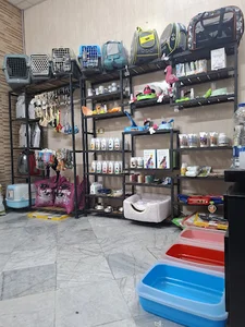 کلینیک دامپزشکی پیوت | PVet Veterinary Clinic