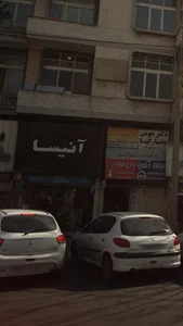 آنیسا