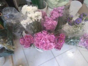 گلسرای نفیس شهرکرد 3