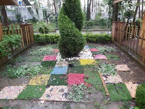 کافه ماه‌سو‌