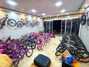 فروشگاه دوچرخه ساحل