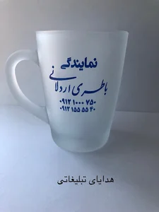 نمایندگی باتری اردلانی
