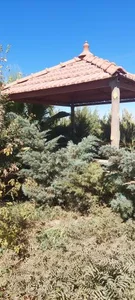 محل استراحت خواهران 3