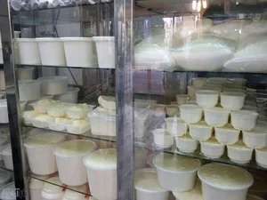 لبنیاتی تک