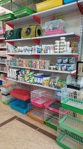 هایپرحیوانات