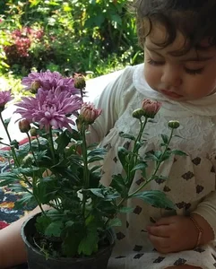 گلسرای ناز
