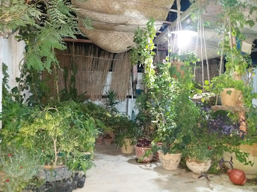 خانه مسکونی فامیل آرین