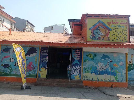 Dolphin aquarium