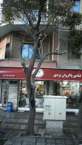 قنادی پاکروان یزدی 2