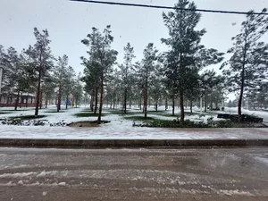 بوستان زاینده رود