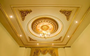 گچ کاری آریانا ( رحیمی )